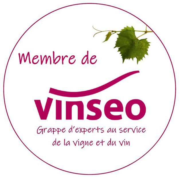 Vinseo